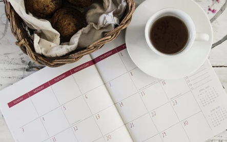 Your Guide to Downtime and Treatments Around the Holidays: Body Tonic RX journal article, Austin, TX