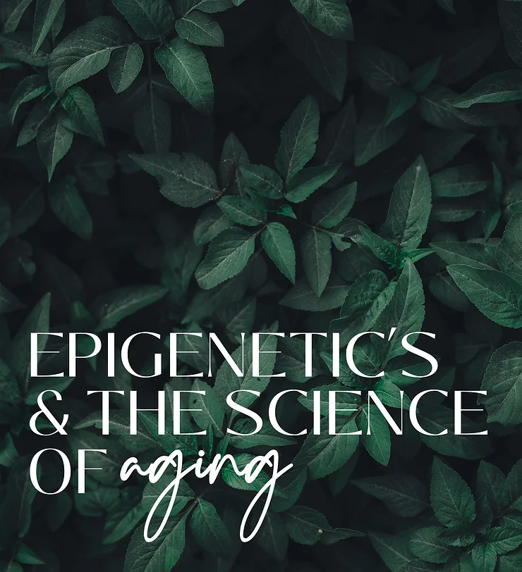 EPIGENETIC’S & THE SCIENCE OF AGING: Body Tonic RX journal article, Austin, TX