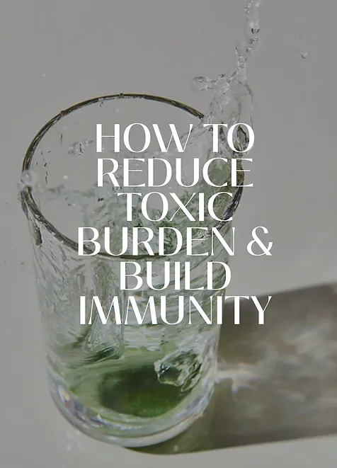 How to Reduce Toxic Burden and Build Immunity: Body Tonic RX journal article, Austin, TX