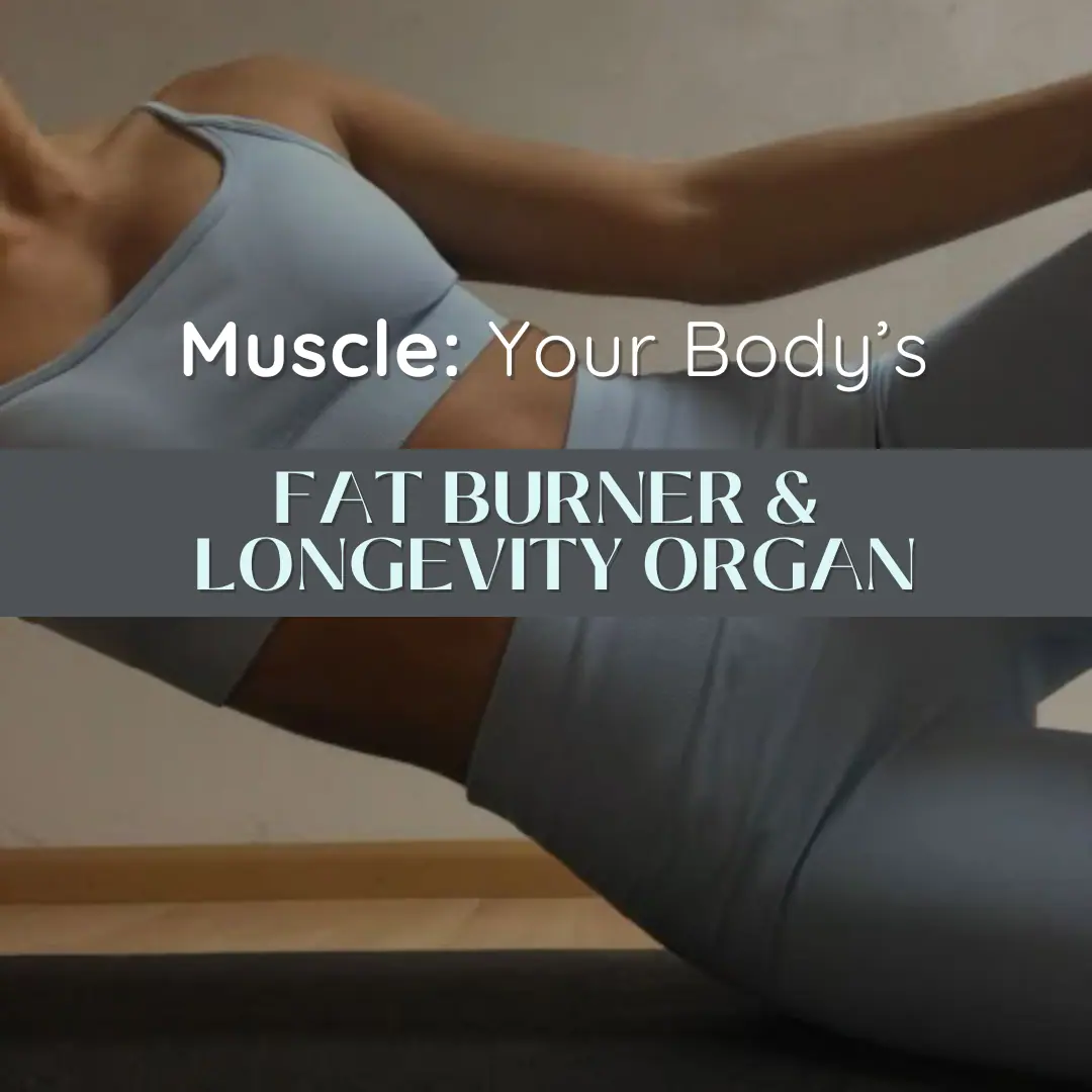 Muscle: Our Longevity Organ: Body Tonic RX journal article, Austin, TX