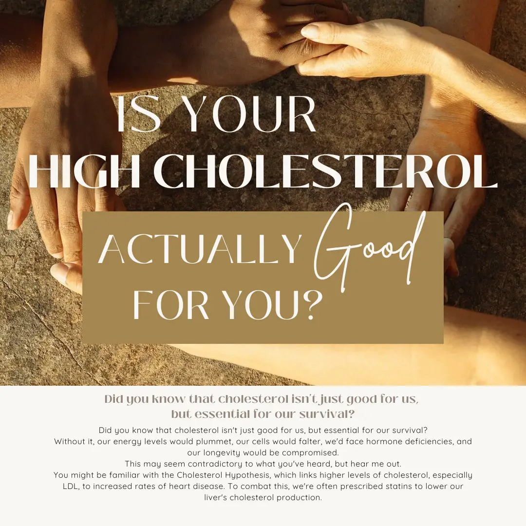 Is your high cholesterol actually good for you?: Body Tonic RX journal article, Austin, TX